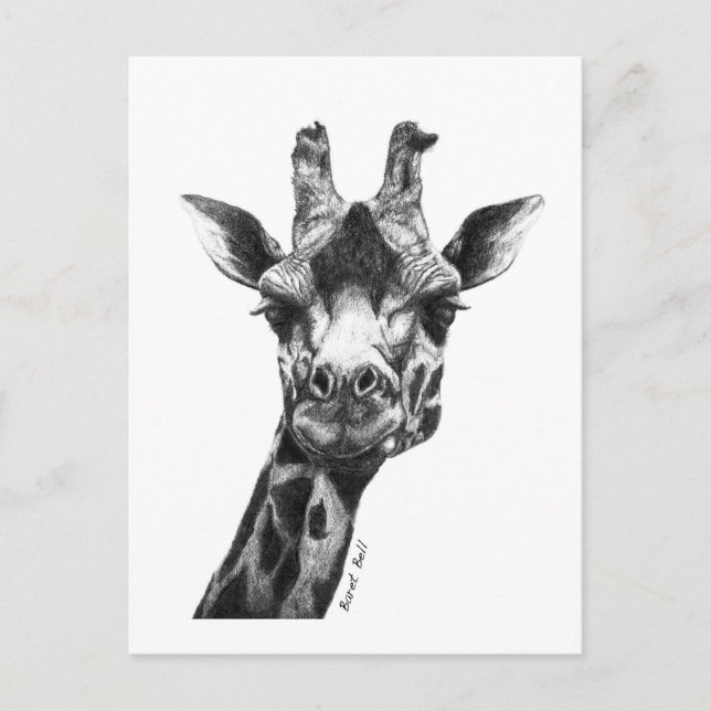 Burney the Giraffe Postcard (Front)