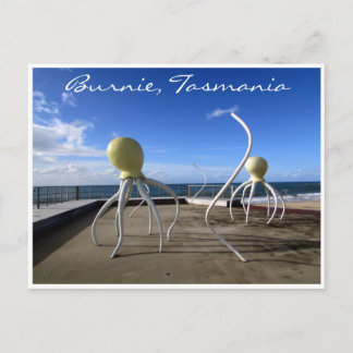 burnie octopus postcard