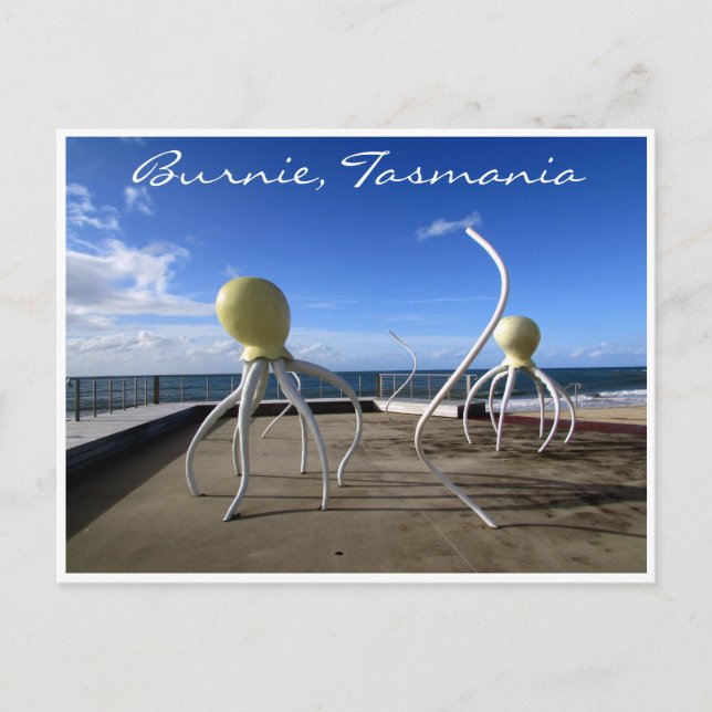 burnie octopus postcard (Front)