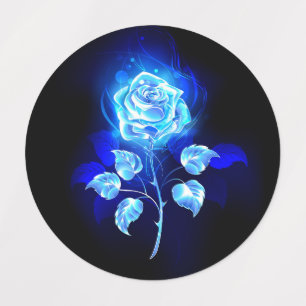 Burning Blue Rose