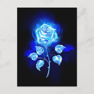 Burning Blue Rose Announcement Postcard