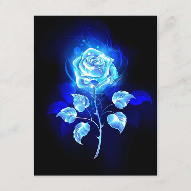Burning Blue Rose Enclosure Card (Front)
