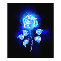 Burning Blue Rose