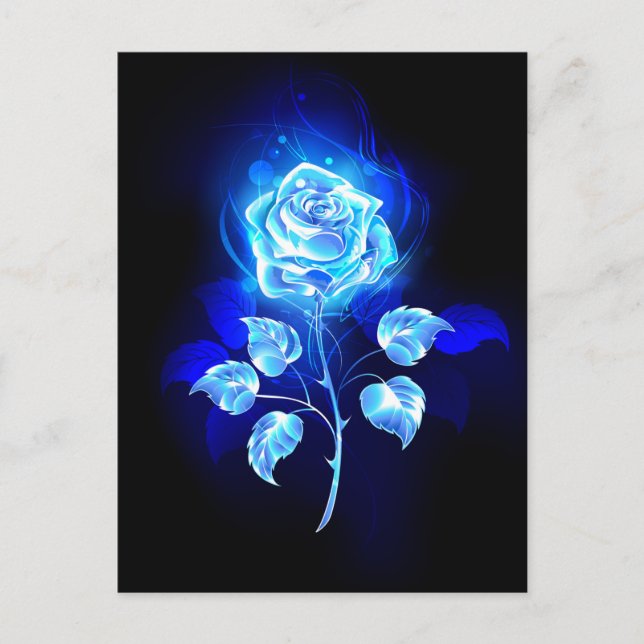 Burning Blue Rose Postcard (Front)
