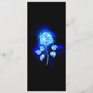 Burning Blue Rose Programme