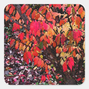 Burning Bush Abstract Square Sticker