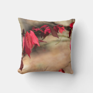 Burning Bush Autumn Foliage - Euonymus alatus Cushion