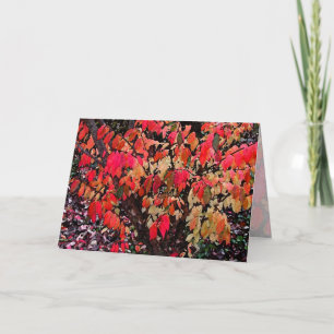 Burning Bush Mothers Day Card