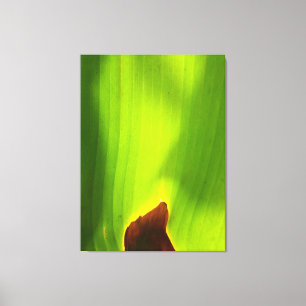 Burning Edge of Life Abstract Green Leaf Nature Canvas Print