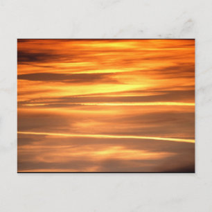 Burnished Gold Postcard