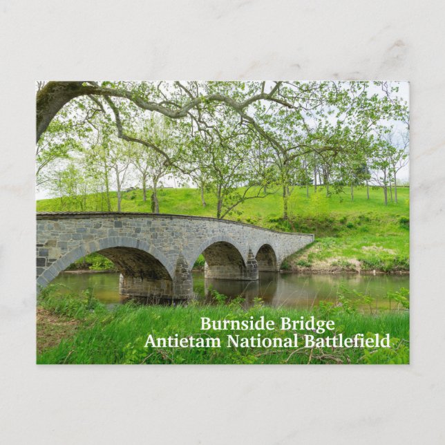 Burnside Bridge in Antietam Postcard (Front)
