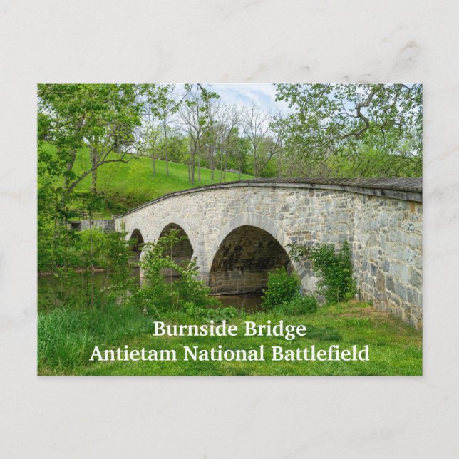 Burnside Bridge in Antietam Postcard (Front)
