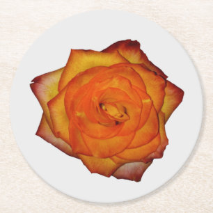 Burnt Orange Rose Paper Coaster