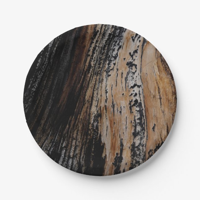 Burnt Tree Bark Paper Plate (Front)