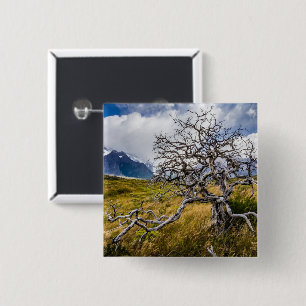 Burnt tree, Torres del Paine, Chile 15 Cm Square Badge