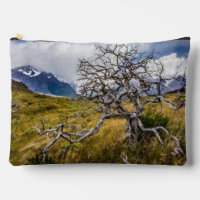 Burnt tree, Torres del Paine, Chile