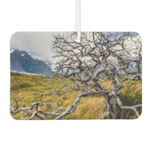 Burnt tree, Torres del Paine, Chile Car Air Freshener
