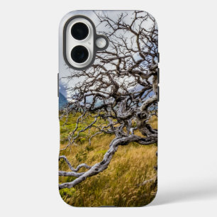 Burnt tree, Torres del Paine, Chile iPhone 16 Case