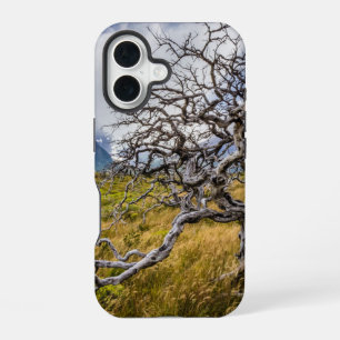Burnt tree, Torres del Paine, Chile iPhone 16 Case