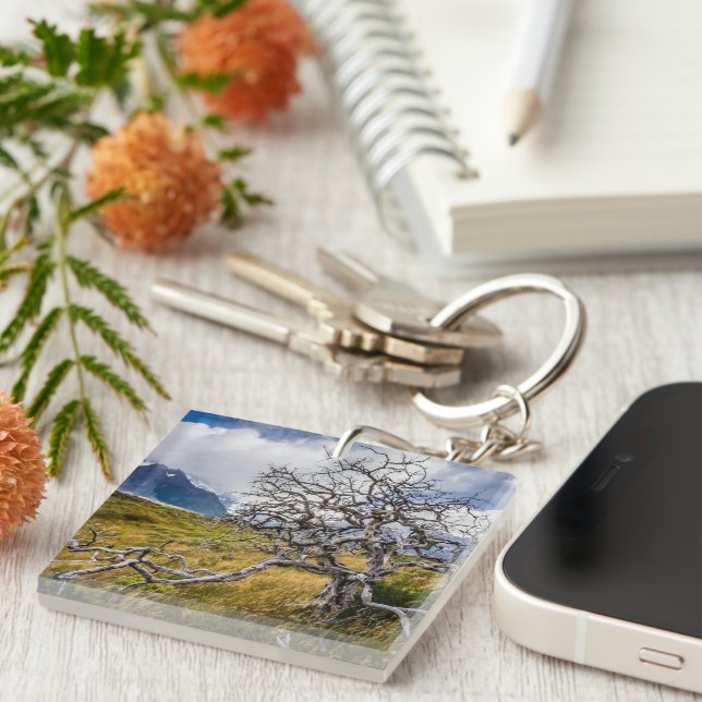Burnt tree, Torres del Paine, Chile Key Ring (Front Right)