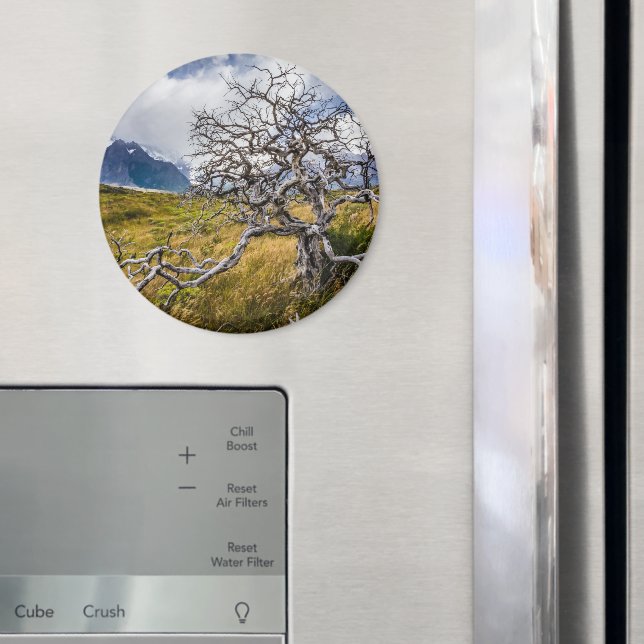 Burnt tree, Torres del Paine, Chile Magnet (In Situ (Fridge))