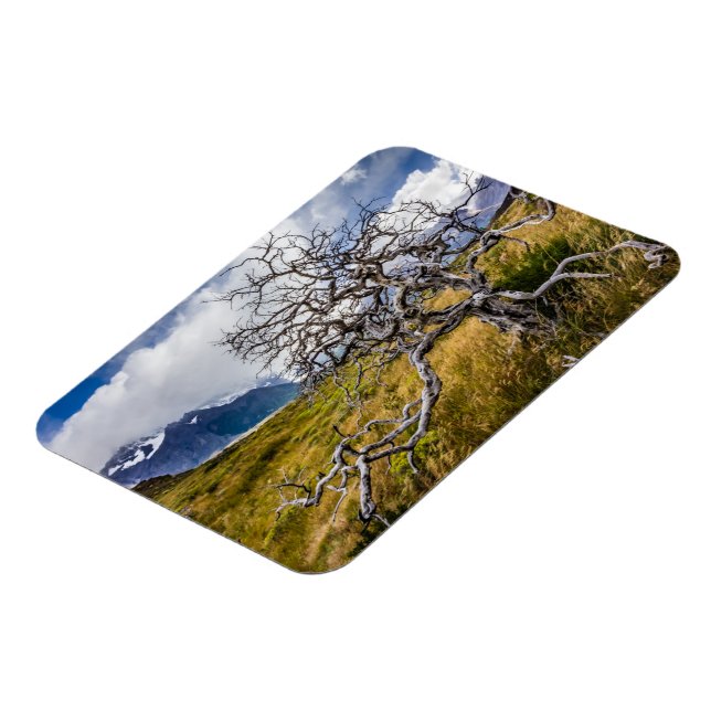 Burnt tree, Torres del Paine, Chile Magnet (Left Side)