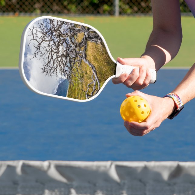 Burnt tree, Torres del Paine, Chile Pickleball Paddle (Insitu)