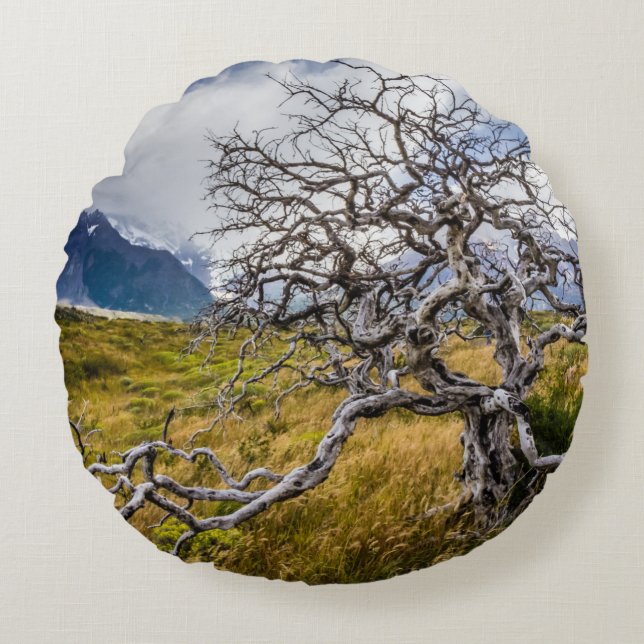 Burnt tree, Torres del Paine, Chile Round Cushion (Front)