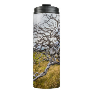 Burnt tree, Torres del Paine, Chile Thermal Tumbler