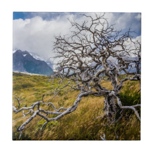 Burnt tree, Torres del Paine, Chile Tile