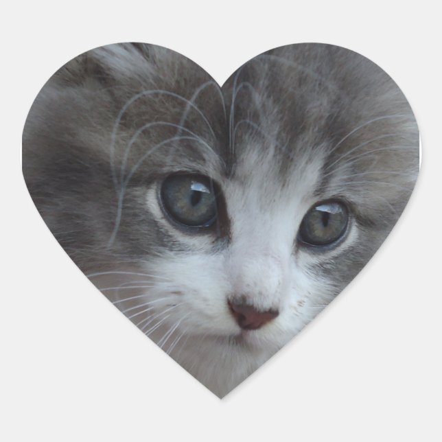 Burr Baby Heart Sticker (Front)