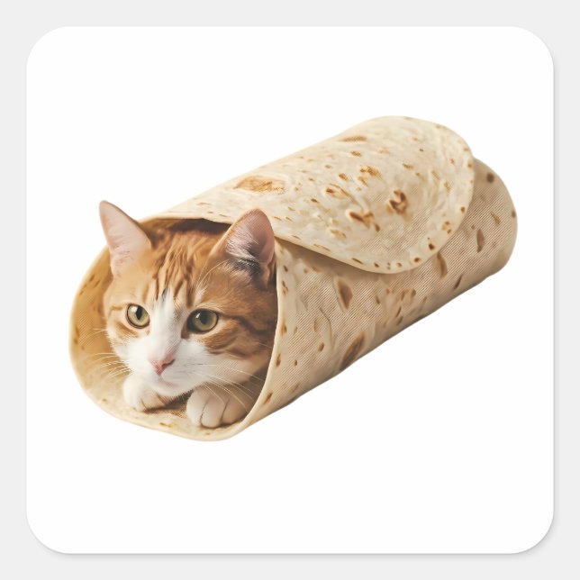 Burrito Cat Funny Wrapped Cat Meme Design Square Sticker (Front)