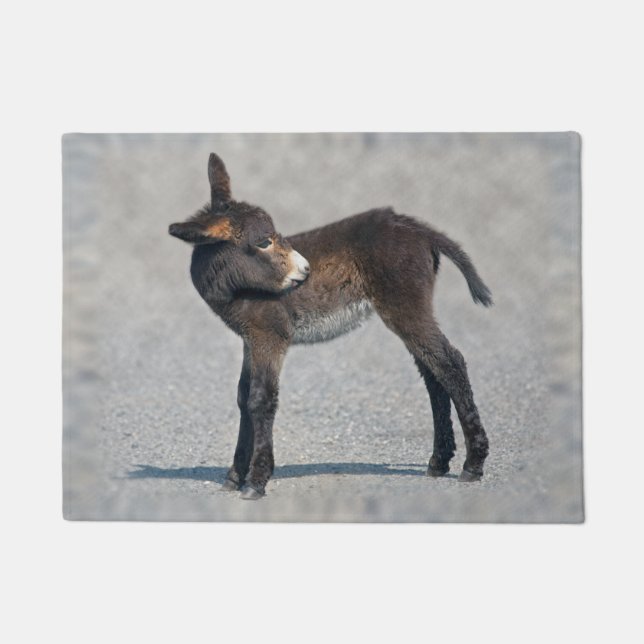 Burro Doormat (Front)