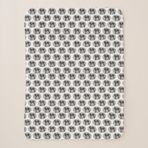 Burro Frenzy Sherpa Blanket (choose colour)