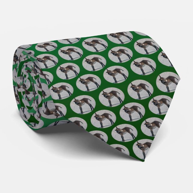 Burro Frenzy Tie (Light/Dark Green) (Rolled)