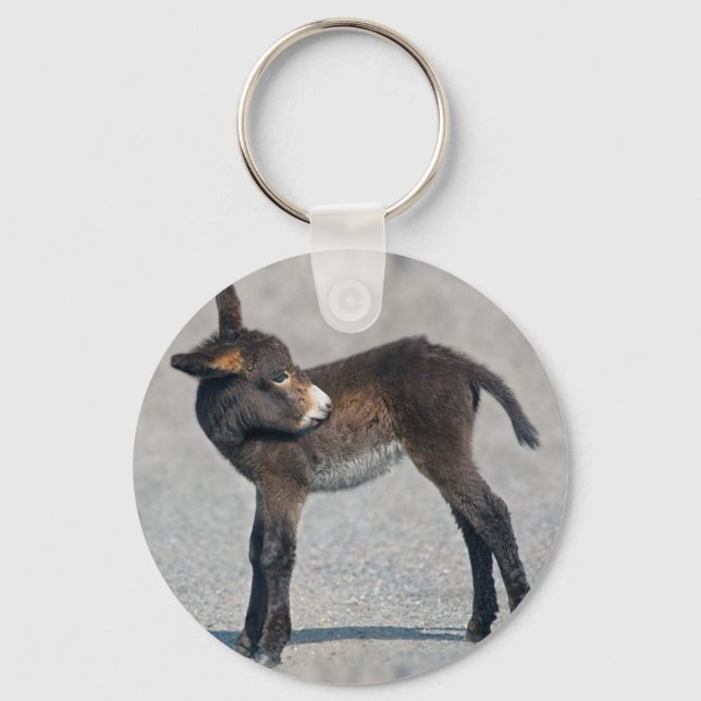 Burro Keyring (Front)