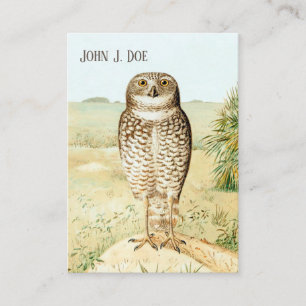 Burrowing Owl 2-Sided Business Card for Birders
