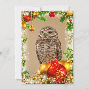 Burrowing Owl Christmas Card