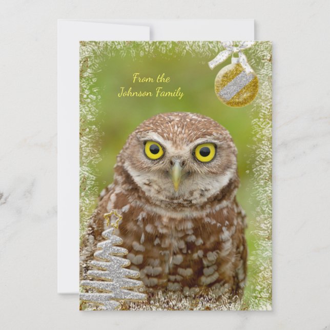 Burrowing Owl Christmas Card (Front)