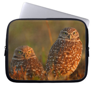 burrowing owl couple laptop sleeve