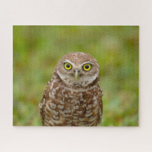 Burrowing Owl Jigsaw Puzzle