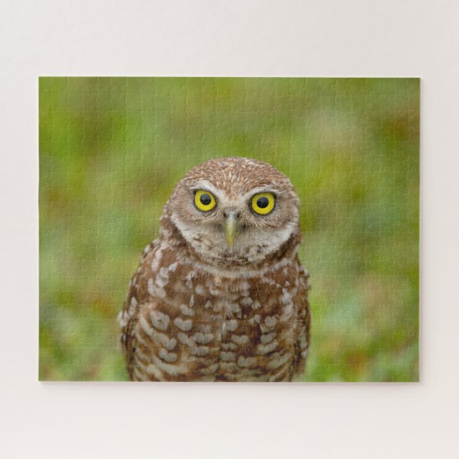 Burrowing Owl Jigsaw Puzzle (Horizontal)
