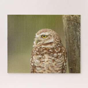 Burrowing Owl Jigsaw Puzzle