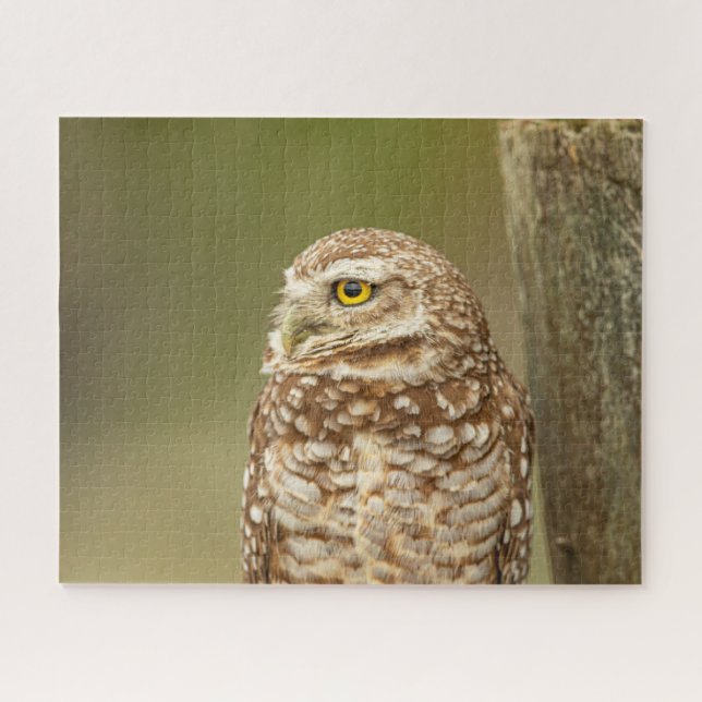 Burrowing Owl Jigsaw Puzzle (Horizontal)