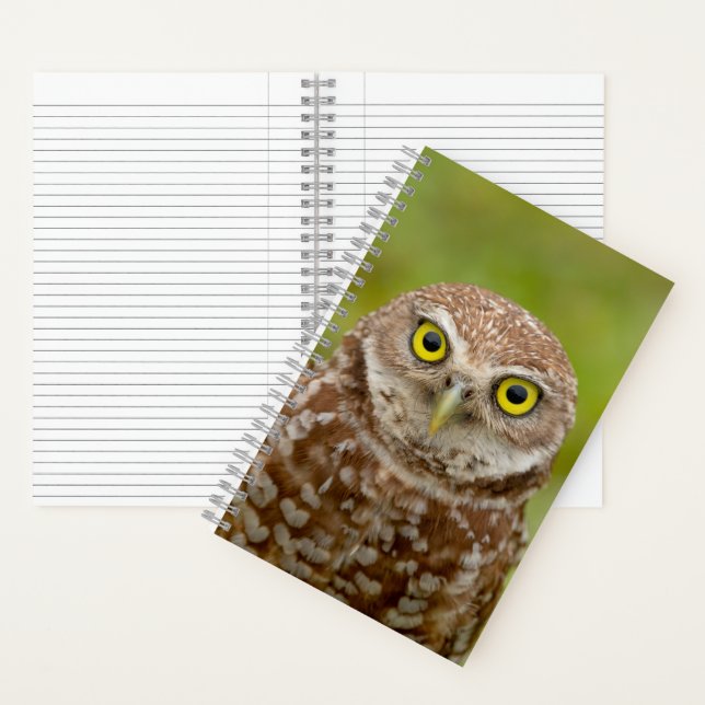 Burrowing Owl Notebook (Inside)