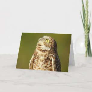 Burrowing Owl Notecard