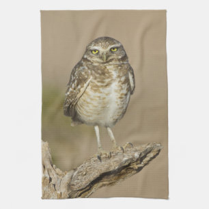 Burrowing Owl on a Cholla Rib Tea Towel