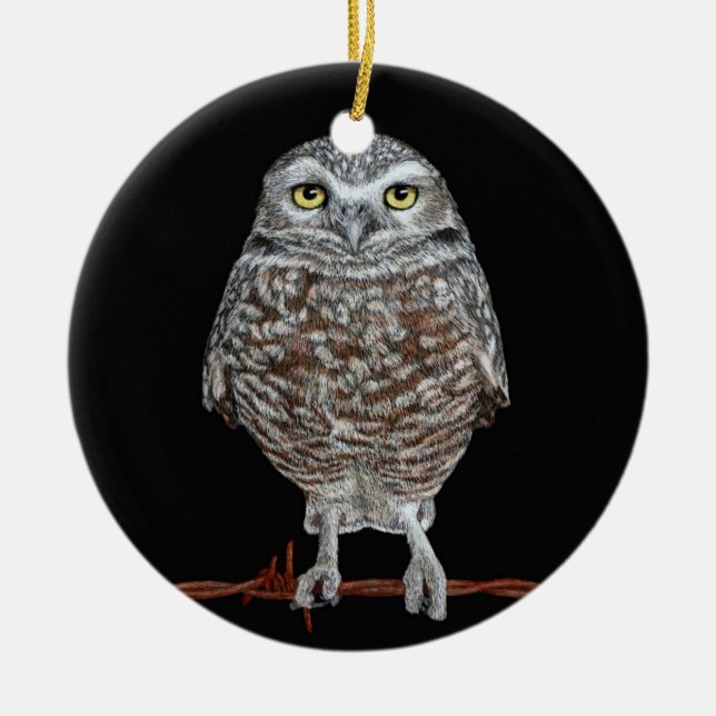 Burrowing Owl Ornament (Front)