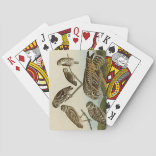 Burrowing Owls - from Audubon's Birds of America Playing Cards