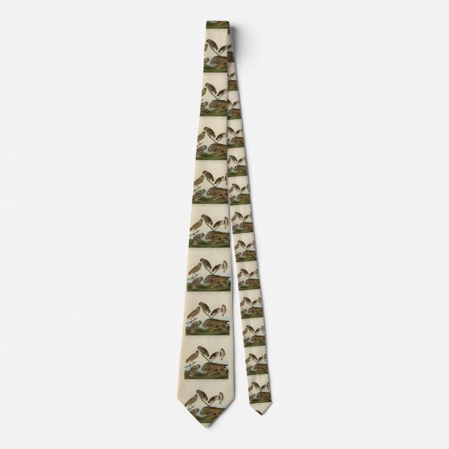 Burrowing Owls - from Audubon's Birds of America Tie (Front)